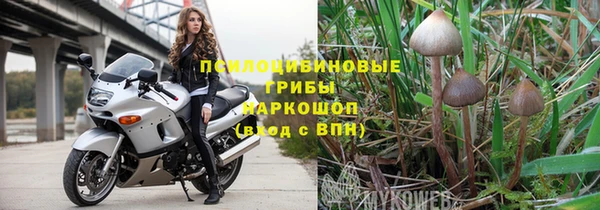 винт Алзамай