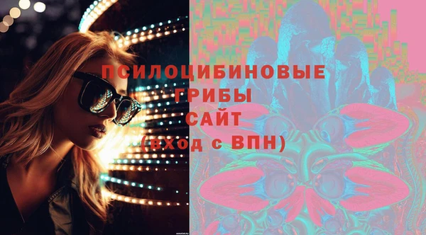 винт Алзамай