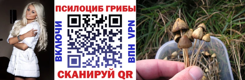 Галлюциногенные грибы мухоморы Челябинск
