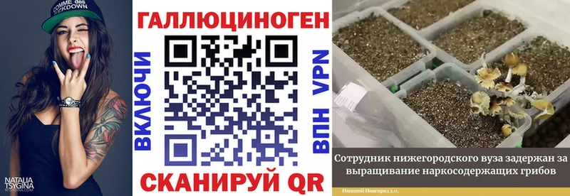 Галлюциногенные грибы Magic Shrooms  что такое наркотик  Челябинск 