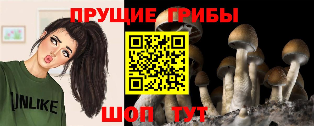 Псилоцибиновые грибы Magic Shrooms Челябинск